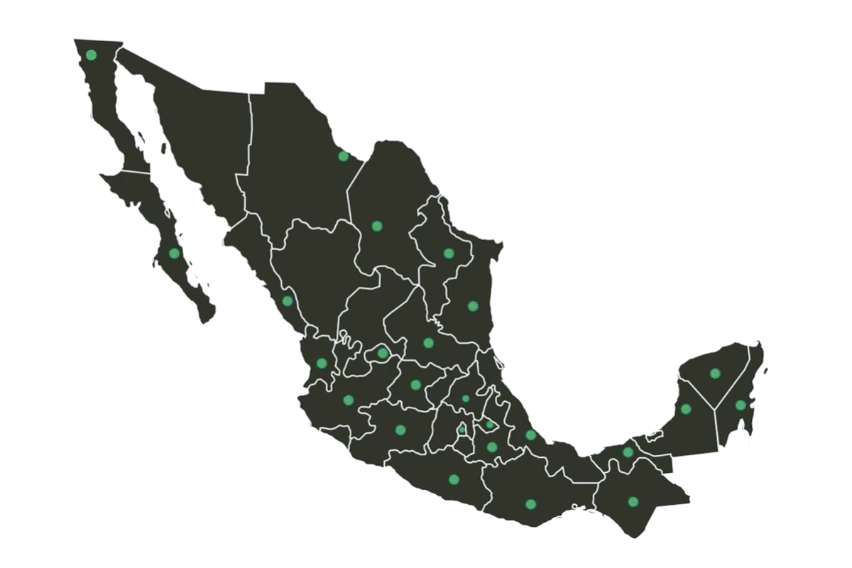 GRUPO ANGO